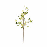 Brown & Beam Accessories Green Leaf Stem