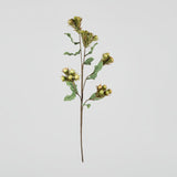 Brown & Beam Accessories Peach Green Stem