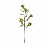 Brown & Beam Accessories Peach Green Stem