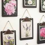 Brown & Beam Accessories Rustic Clip Board