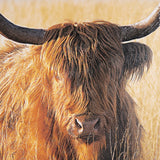 Brown & Beam | Furniture & Decor Wall Art Highland Herd Artwork