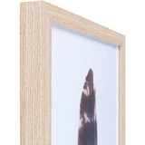 brown feather print artwork with rectangular wood frame close view 