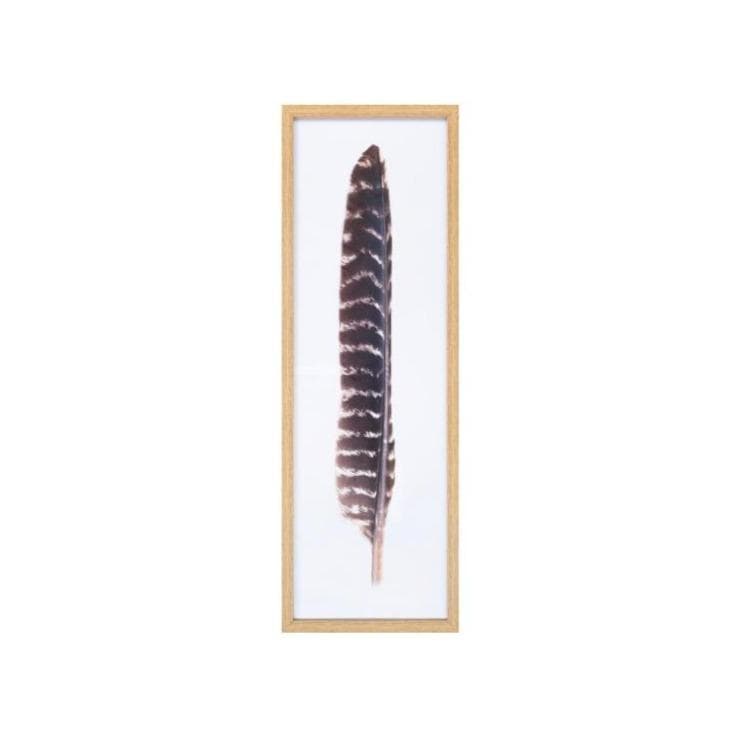 brown feather print artwork with rectangular wood frame front view