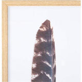 brown feather print artwork with rectangular wood frame close corner view
